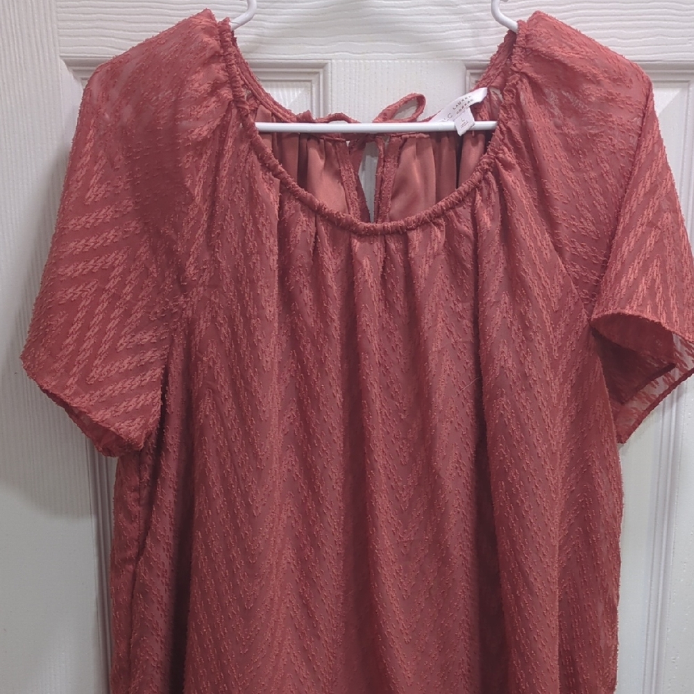 Elegant Rust Women's Top
